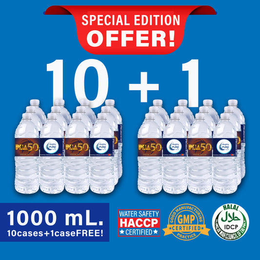 Healthy & Pure Brand Minis 10 PLUS 1: 1000 mL (10 cases + 1 case FREE)